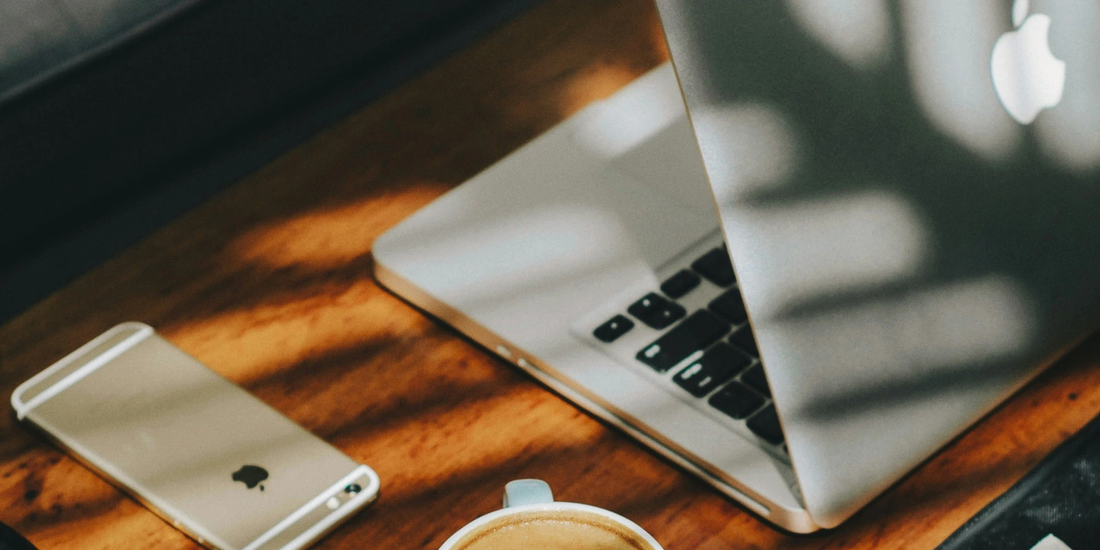 BTSA Gestion Forestière : Alternance et Opportunités