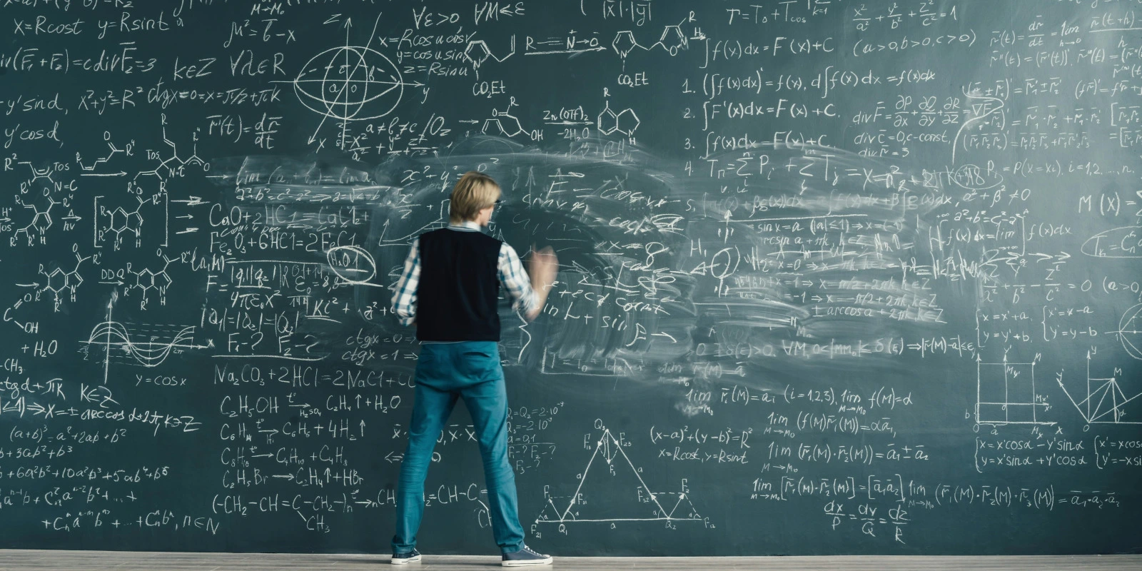 BTSA Gestion Forestière en 2019 : Nouveautés et Changements