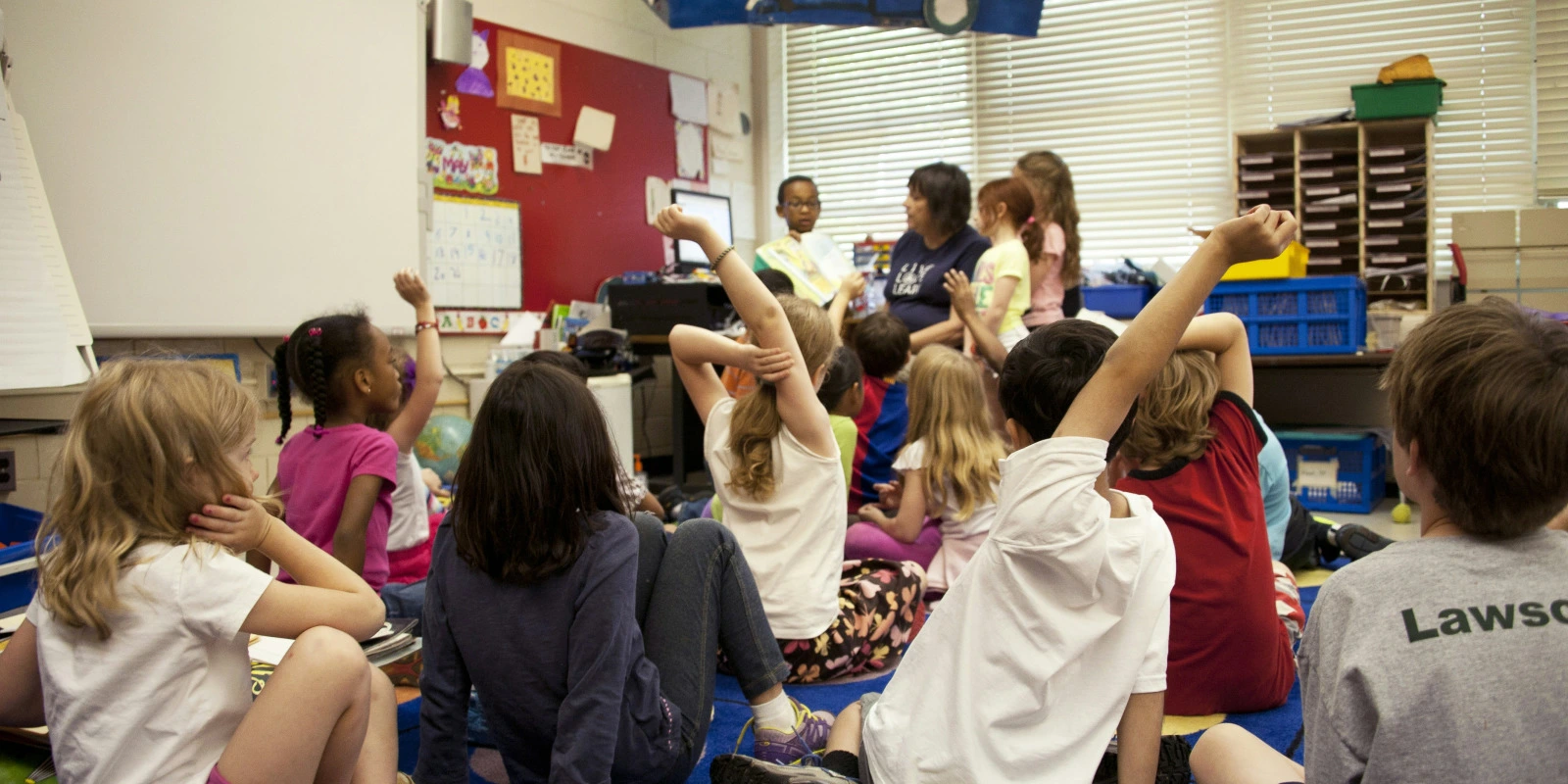 BTSA Gestion Forestière en Candidat Libre : Comment Faire ?