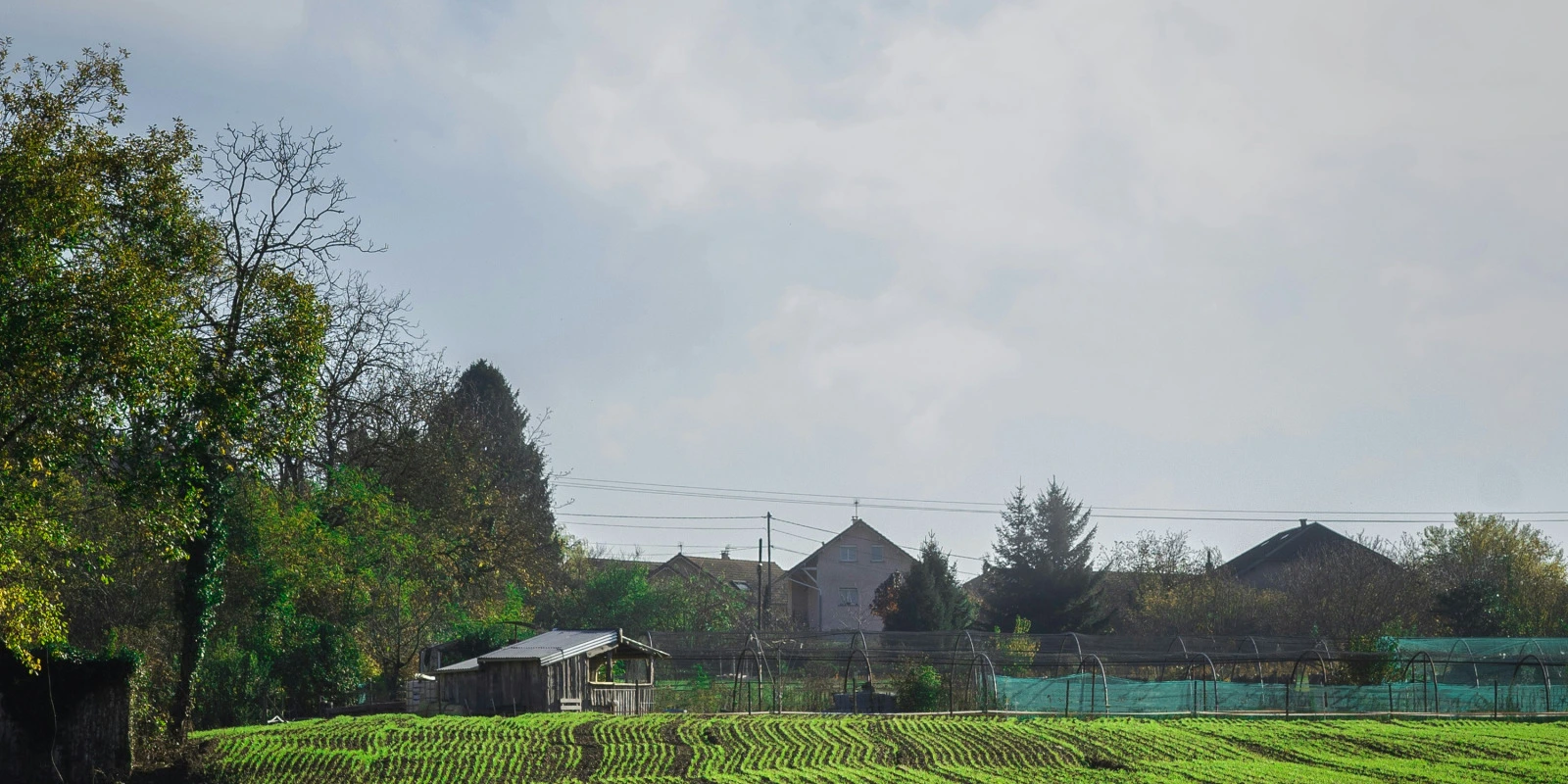 BTSA Gestion Forestière en Haute Savoie : Trouver son École