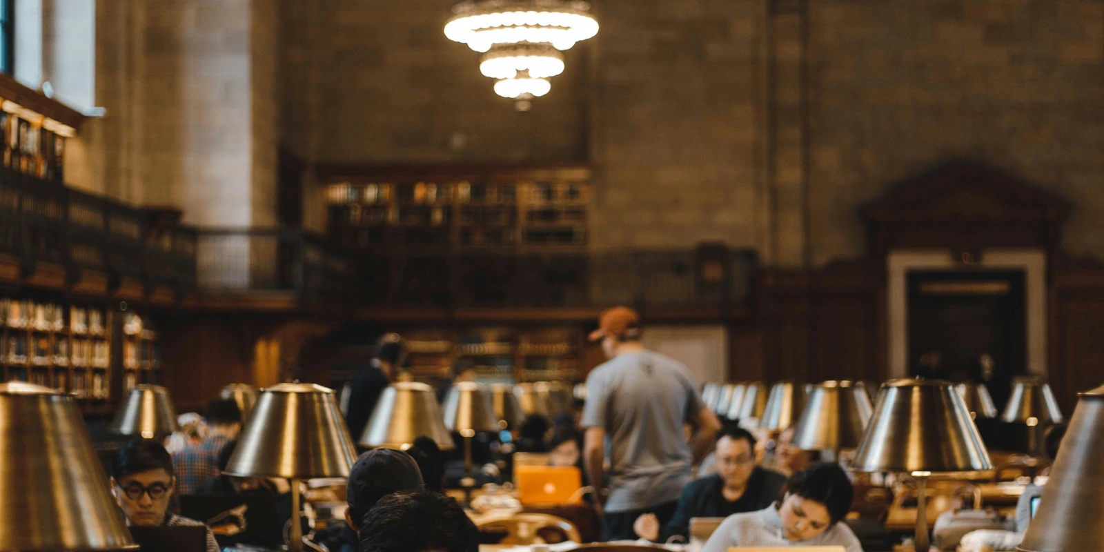 Débouchés du BTSA Gestion Forestière : Carrières et Métiers